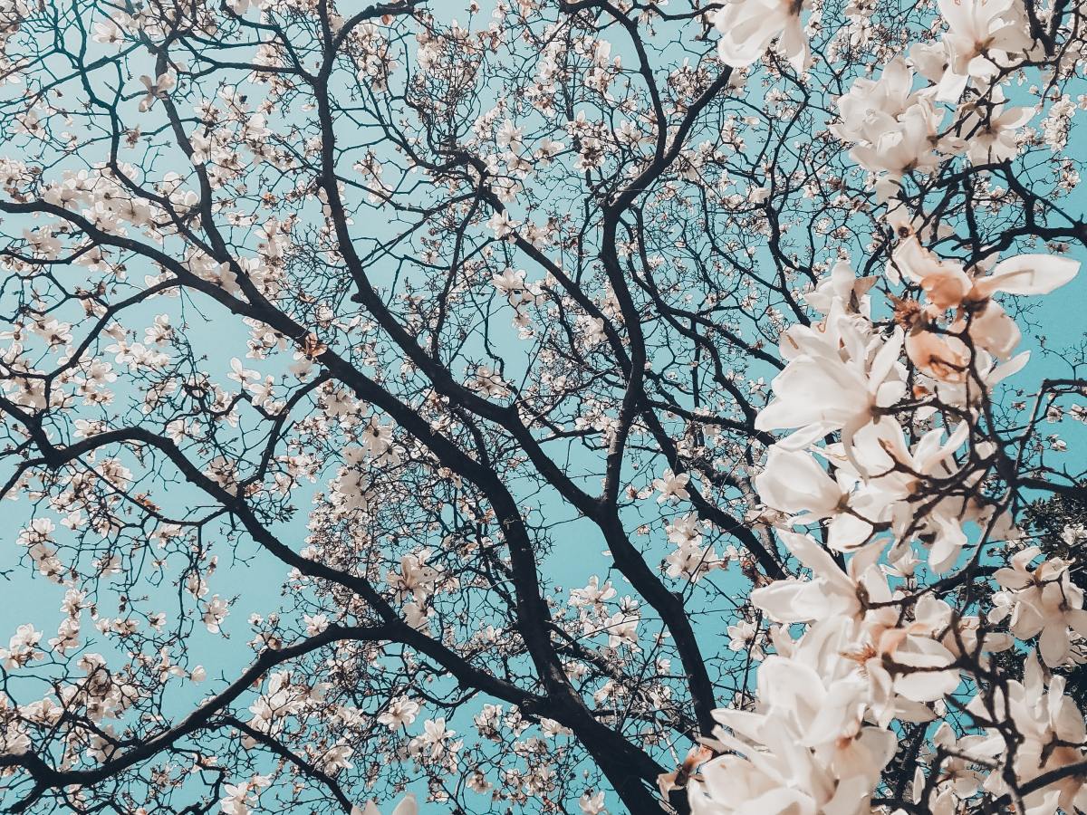 Gloom before the&nbsp;bloom